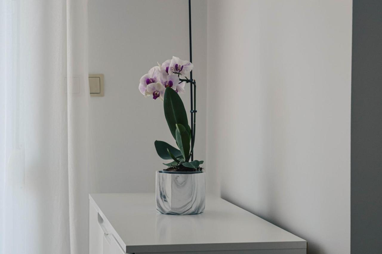 Apartment Valentina Zára Kültér fotó